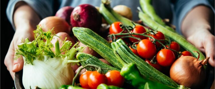 耕作放棄地を活用しておいしい野菜をつくる